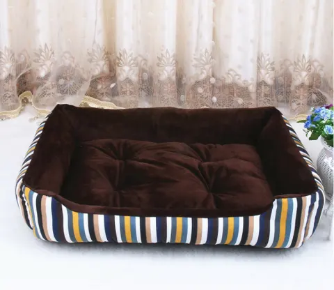 Teddy Cat Litter