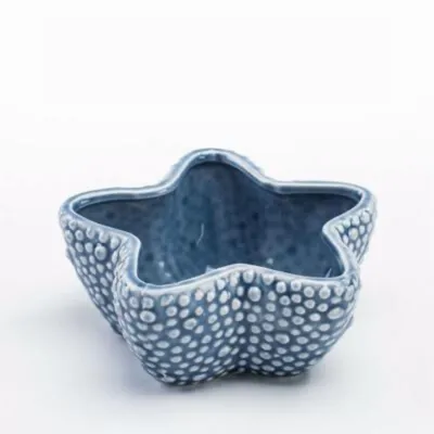 Succulent flower pot - Sea Star
