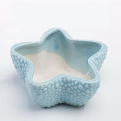 Succulent flower pot - Light Blue Sea Star