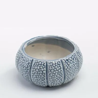 Succulent flower pot - Coral