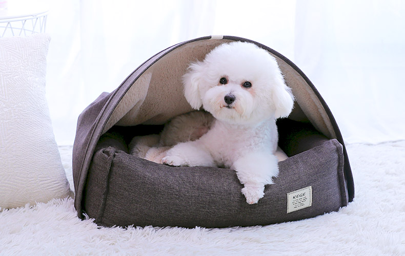 Pet tent 2