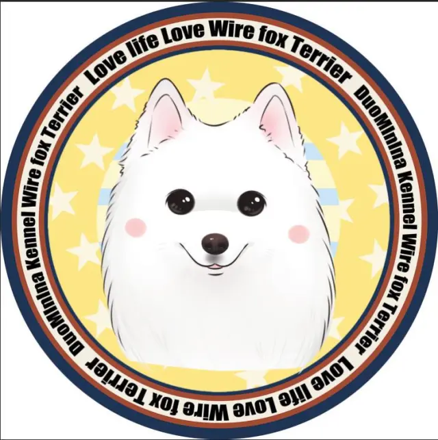 Pet dog mat Style9 - Shop at LoveMi