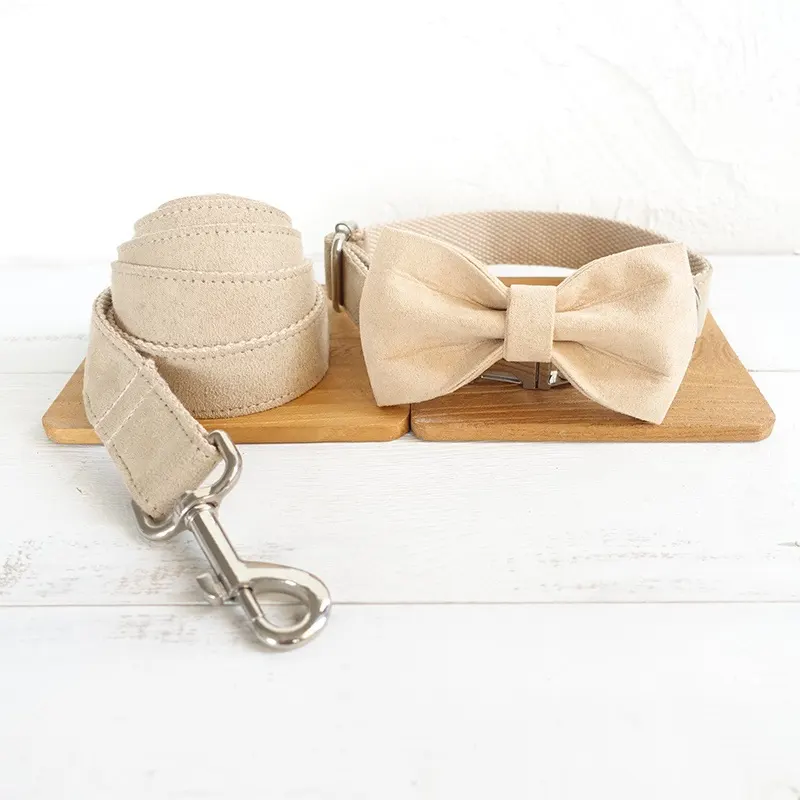 Dog Collar Traction Rope