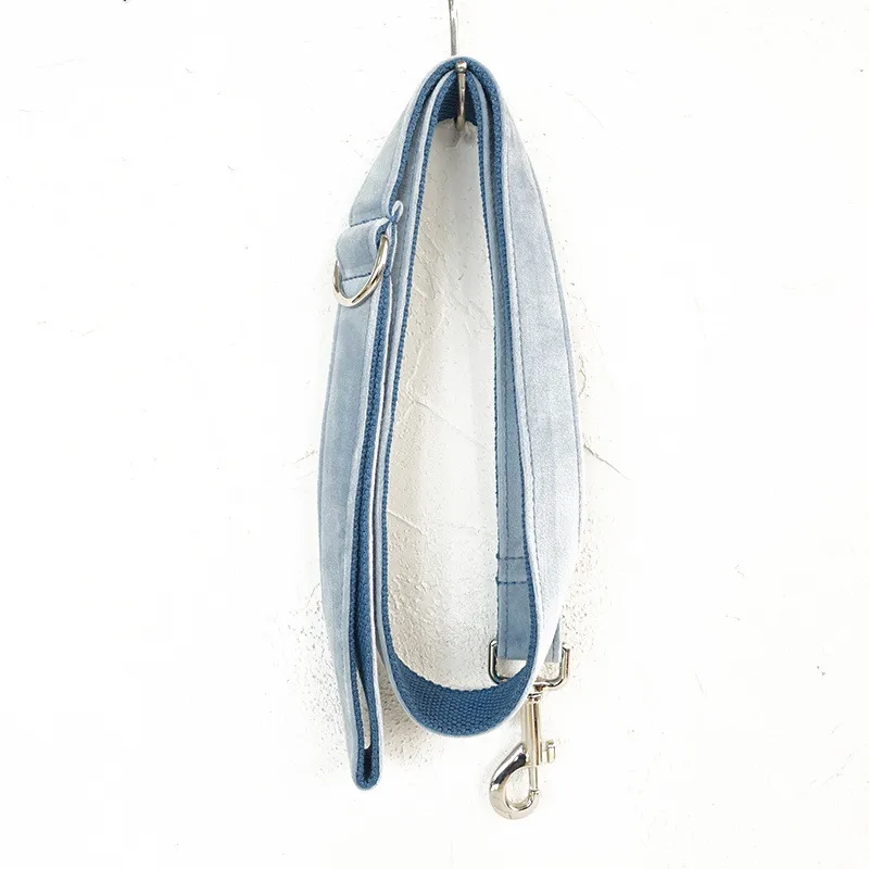 Dog walking rope - Blue