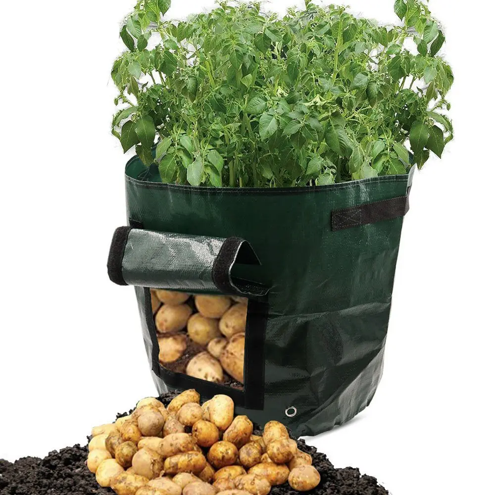 PE Cloth Garden Planting Bag