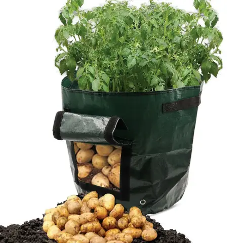 PE Cloth Garden Planting Bag