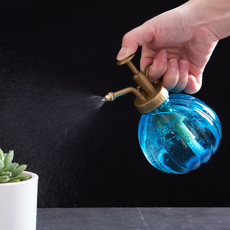 Household small watering pot sprayer