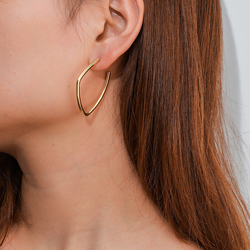 Irregular geometry earrings