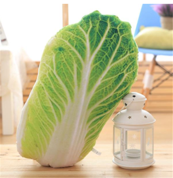 Chinese cabbage