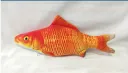 Red Carp