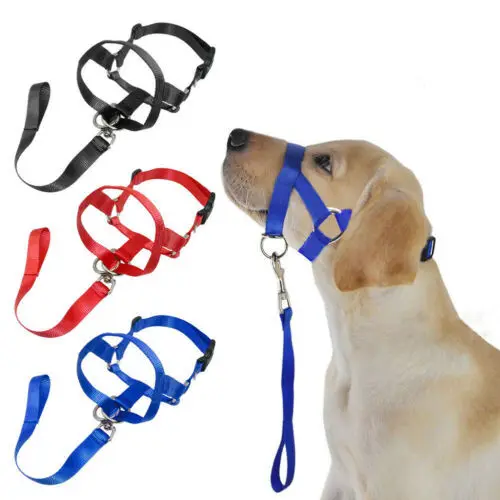 Dog Rectification Rushing Leash Dog Cover
