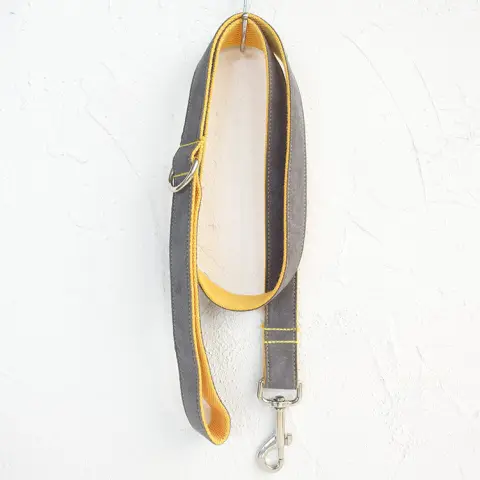 Dog Leash Grey