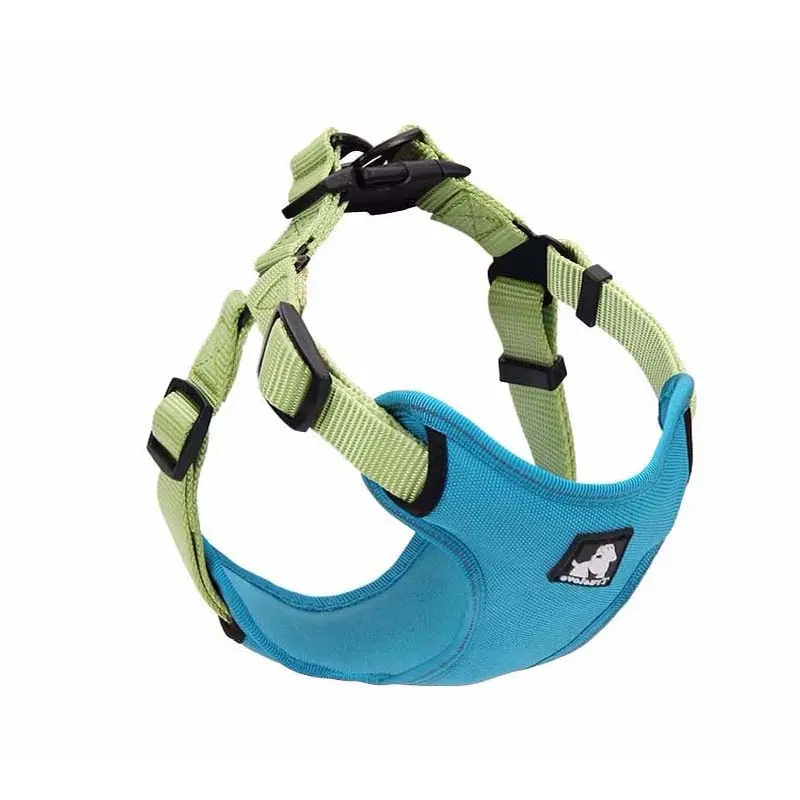 Dog Leash Collar Walking Dog