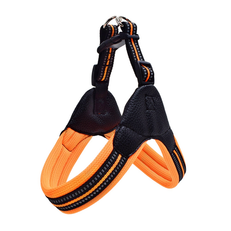 Reflective leash for dog Orange - Shop at LoveMi