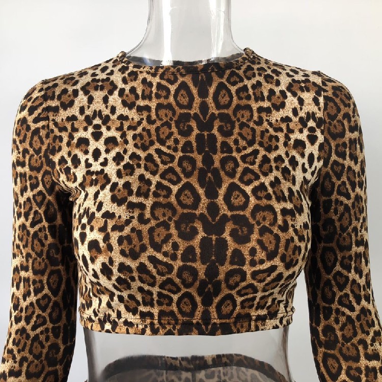 Sexy Leopard Crew Top Flare Pants Set