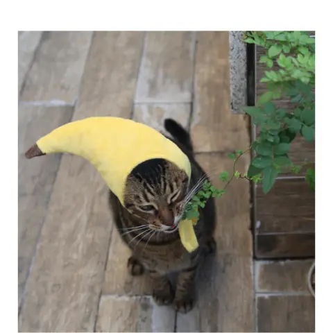Creative Design Banana Pet Hat