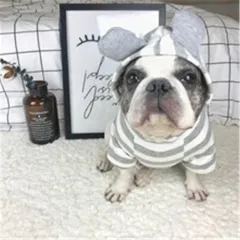 Pet clothing striped sweater - Grey - View 1