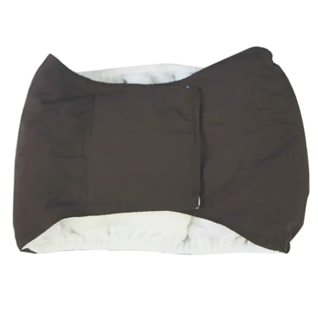 Large dog physiological pants pet supplies Coffee - Shop at LoveMi