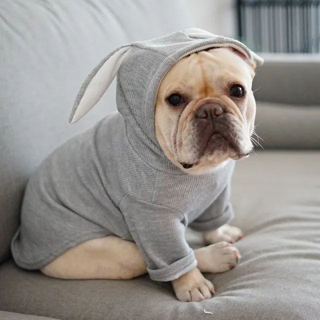 Dog Pet Clothes Spring And Autumn Clothing Light Grey - Shop at LoveMi