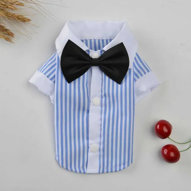 Breathable spring and summer pet clothing Shirt - Shop at LoveMi