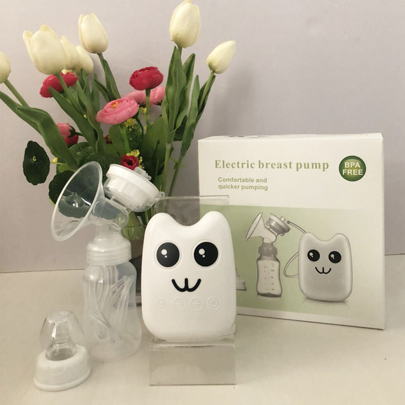 Title 2, Intelligent electric breast pump