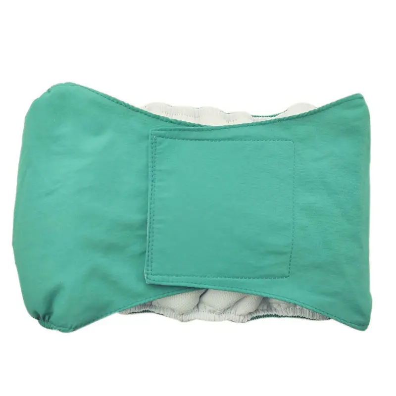 Large dog physiological pants pet