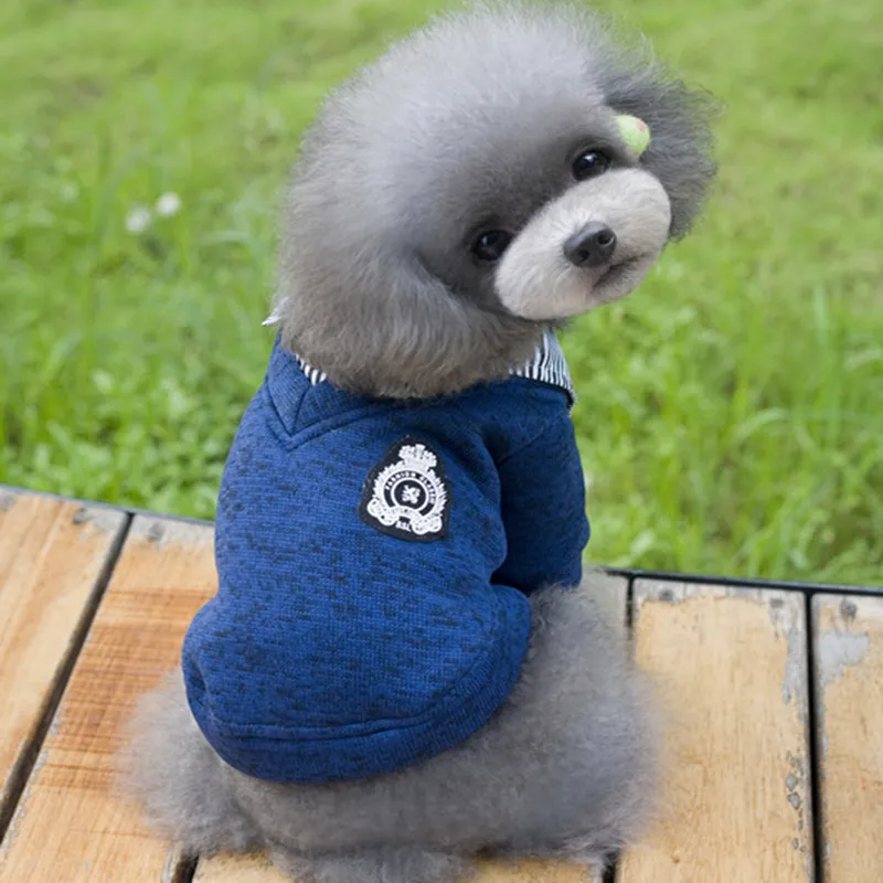 Pet dog hoodie - Blue