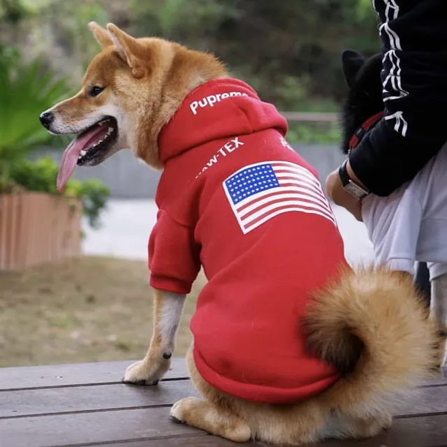 Warm autumn and winter dog clothes Red - Shop at LoveMi