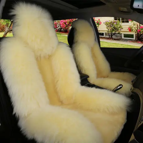 Car Cushion Winter