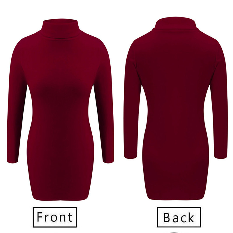 Turtleneck skinny bag hip dress
