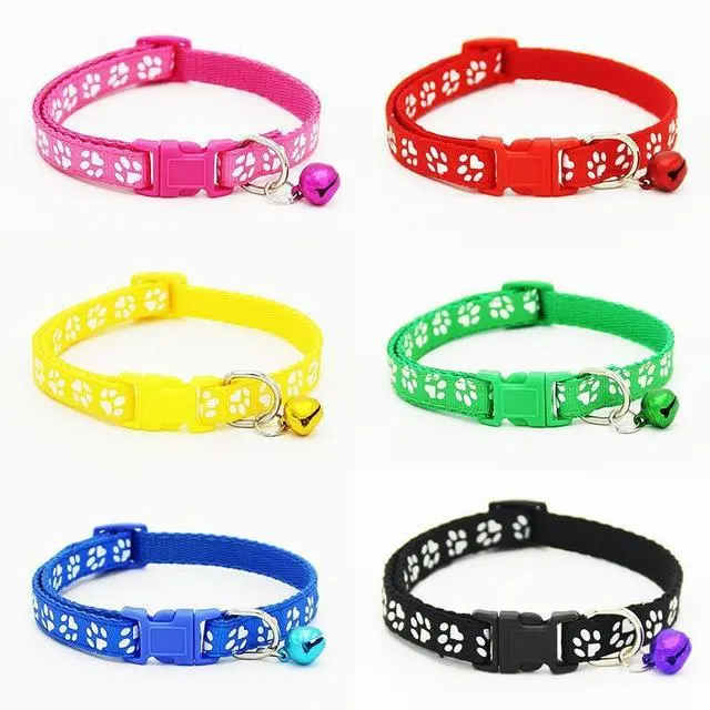 The Pet Cat Wears a Bell Collar