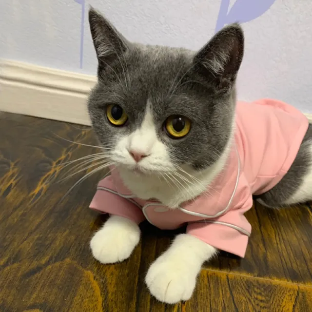 Cat clothes summer dress Pink - Shop at LoveMi
