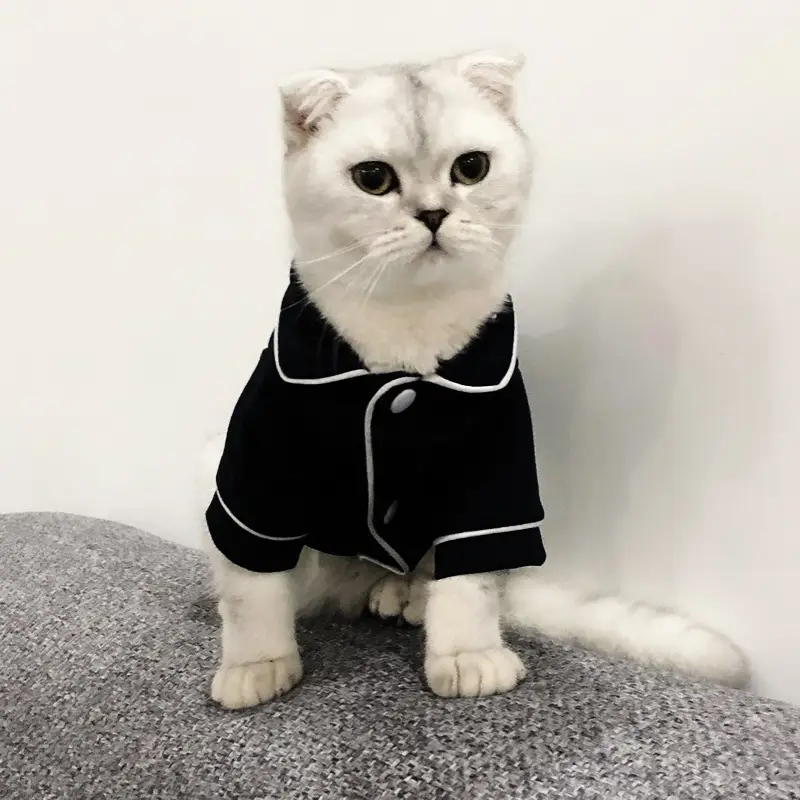 Cat clothes summer dress