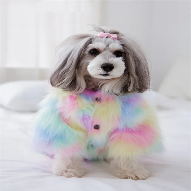 Pet winter coat Colorful - Shop at LoveMi