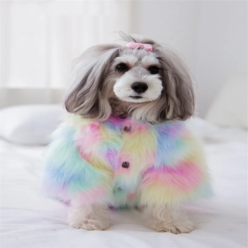 Pet winter coat - Colourful