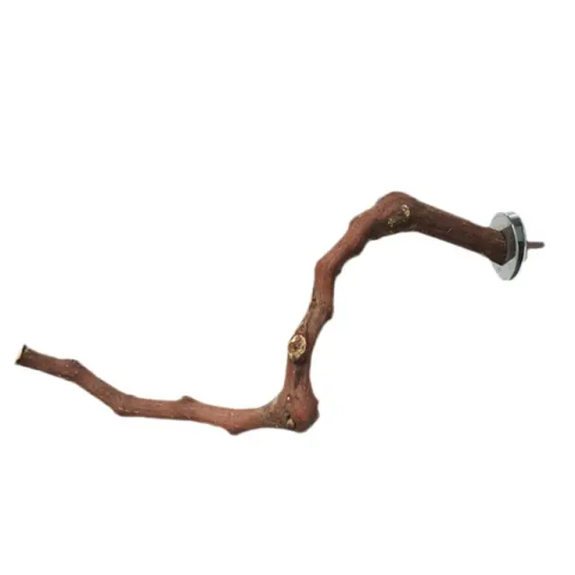 Add a stand pole to the cage for parrot birds Do Not Split - Shop at LoveMi