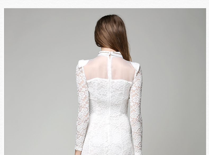 Mesh long sleeve high waist lace dress