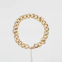 Pet accessories cat dog Teddy's Necklace - Gold - View 1