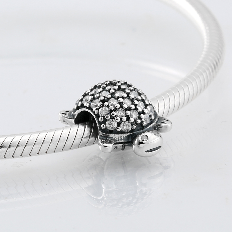 Tortoise