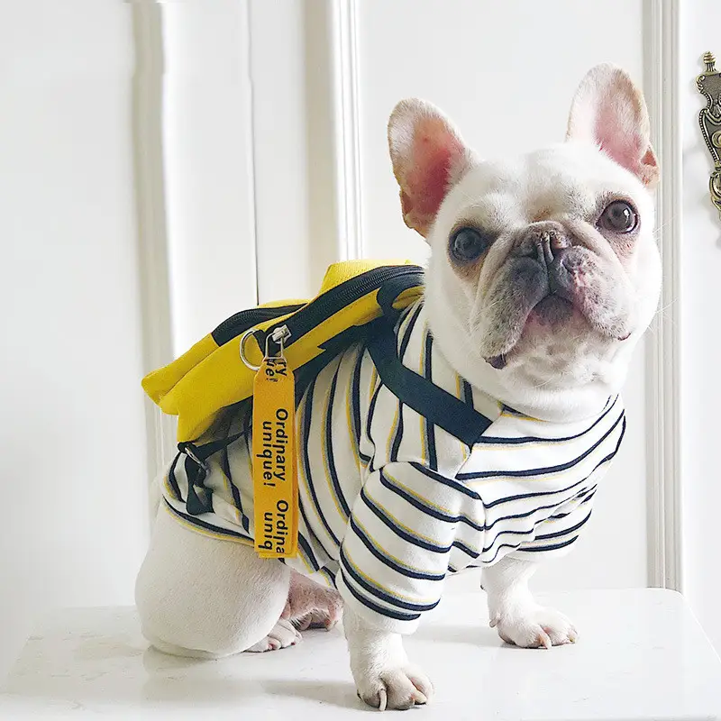 Dog clothes black strap