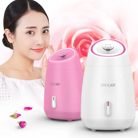 Face Steamer