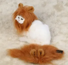 Funny Pet Hat For Small Dogs Cats Hat Emulation Lion Hair Mane Ears Head Cap Scarf Pet Halloween Festival Costume - Gold - View 1