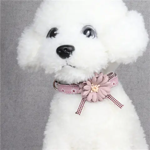 Pet Cat Dog Collar Cute Flowers