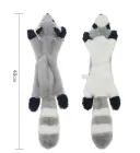Raccoon