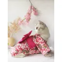 Cherry Blossoms