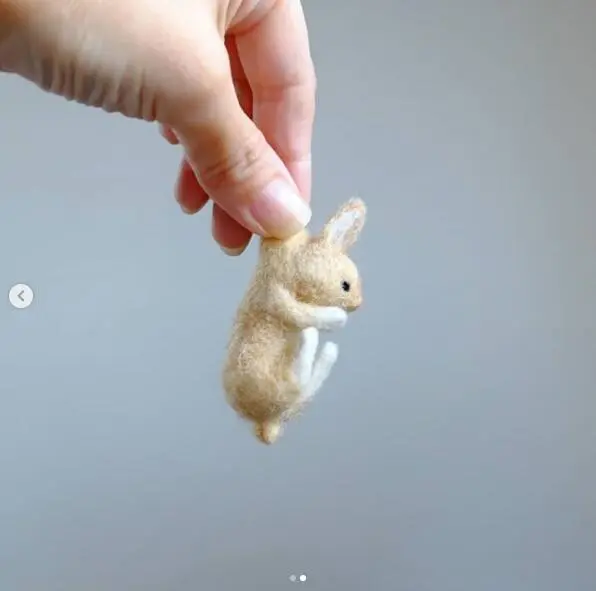 Small animal being mentioned - A0332