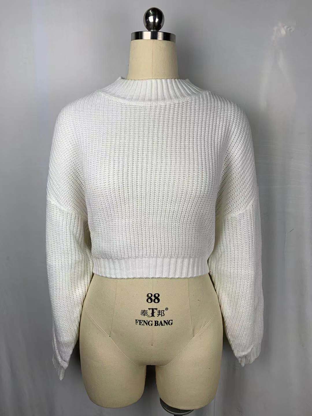 Short section raglan sleeves half turtleneck sweater