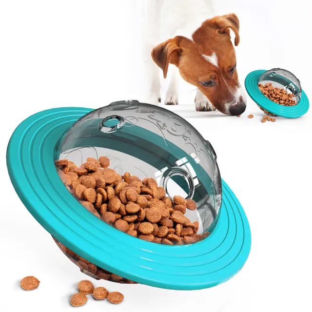 Missing food educational toys Lake Blue - Shop at LoveMi