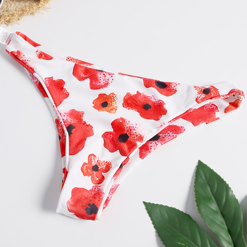 Printed split swimsuit for ladies
