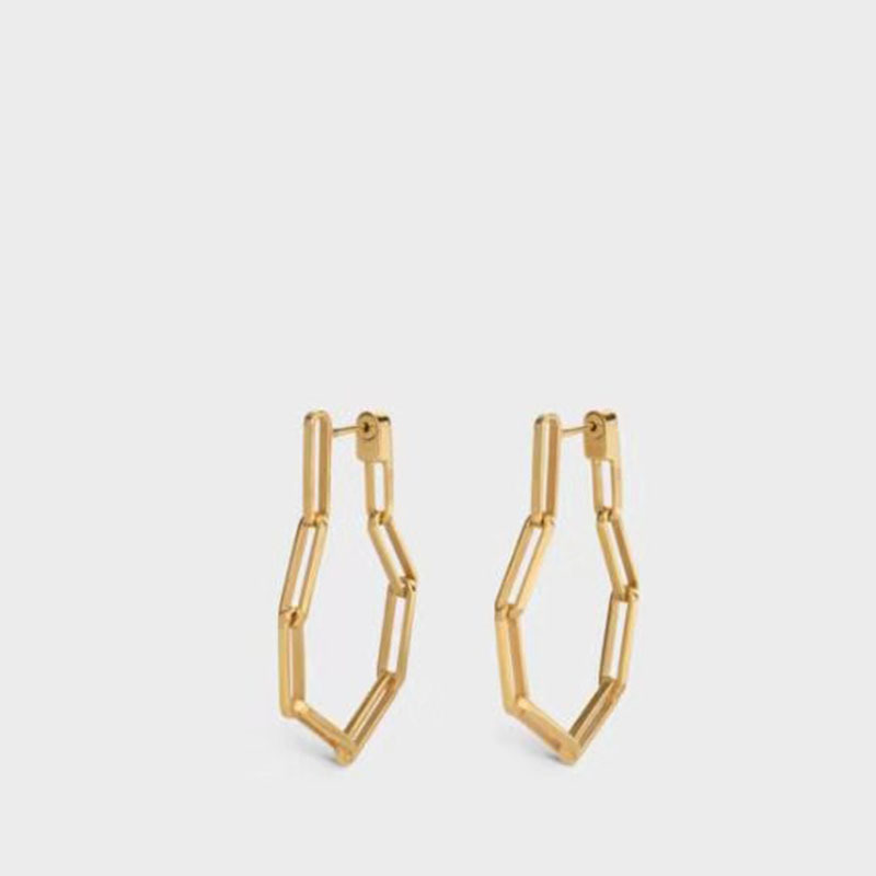 Exaggerated long chain earrings